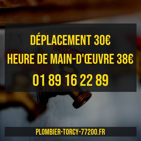 plombier Torcy prix