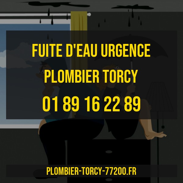 plombier fuite eau Torcy